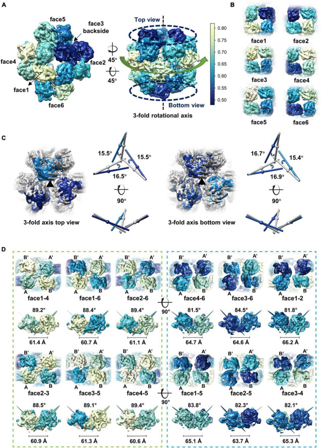 FIGURE 3