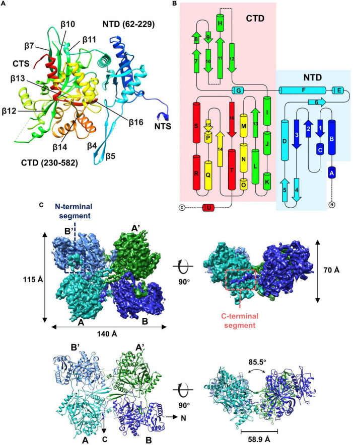 FIGURE 4