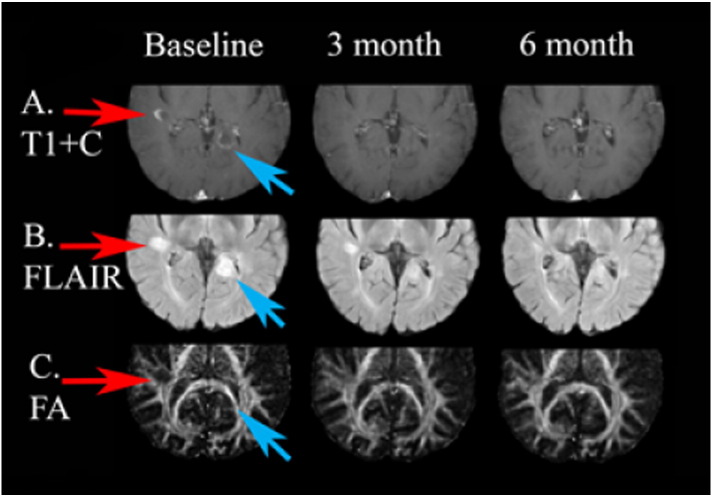 Fig. 8