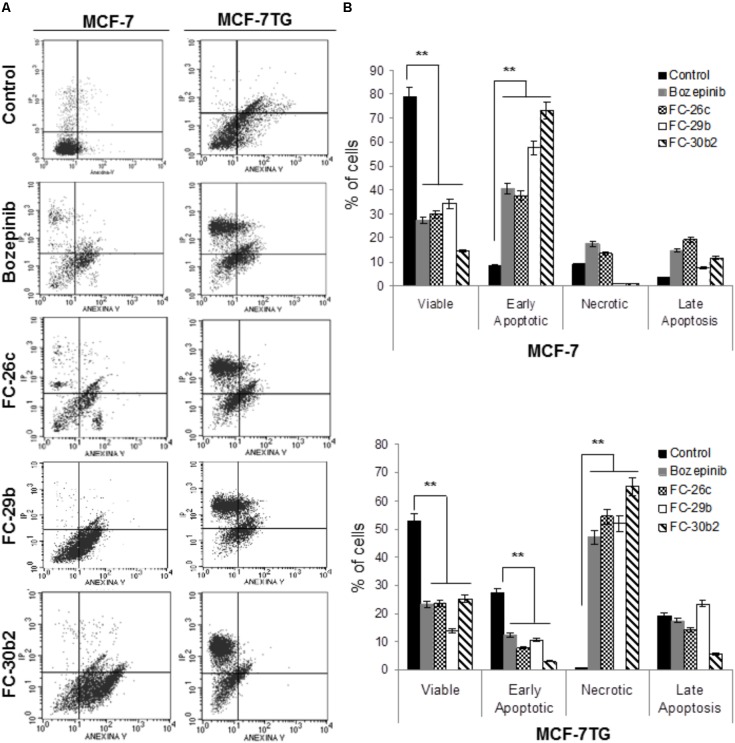 FIGURE 4