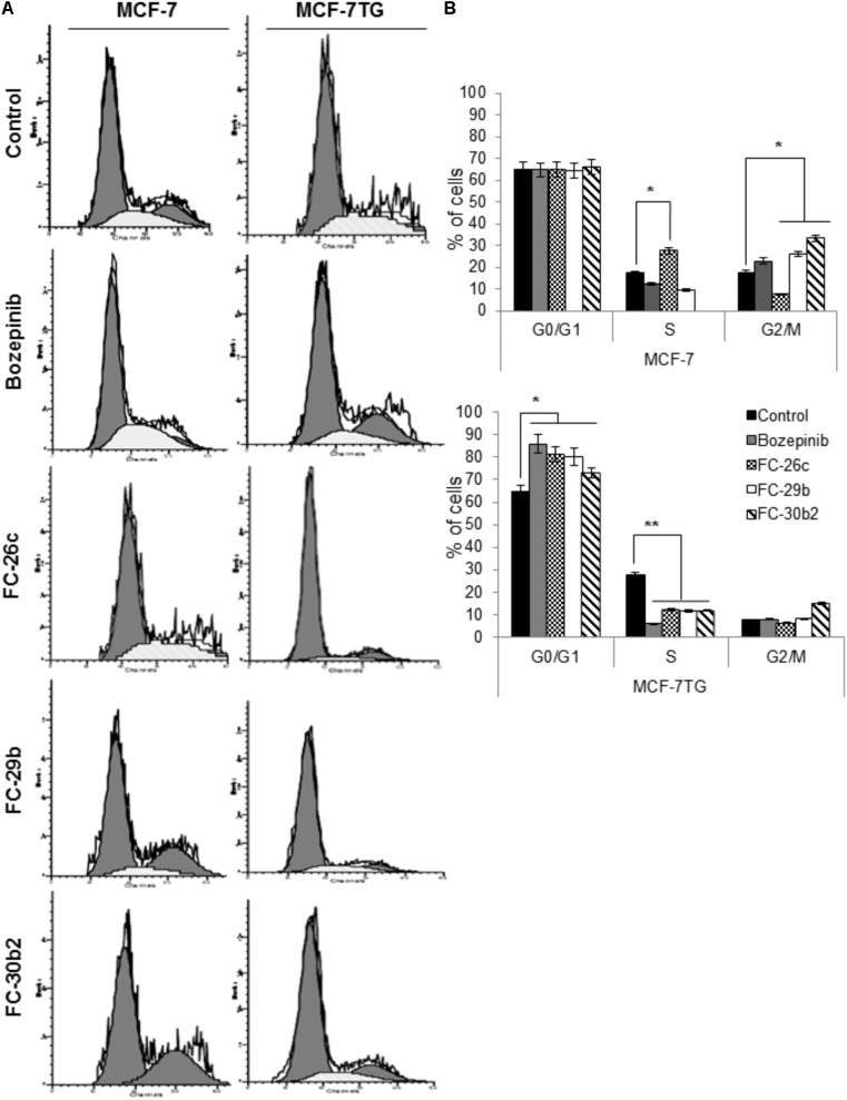 FIGURE 6