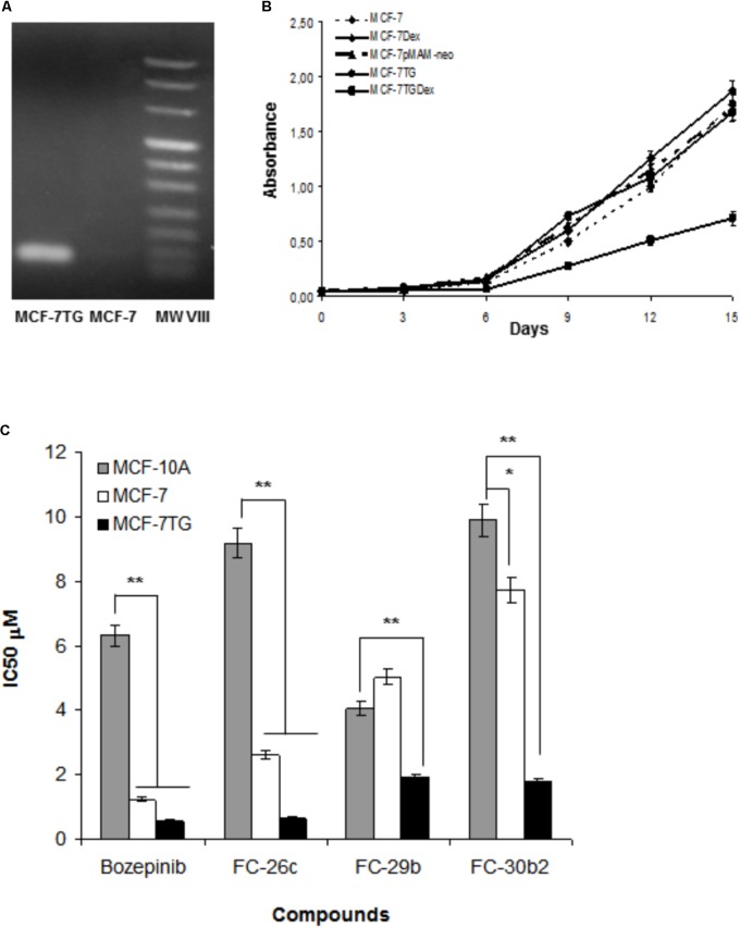 FIGURE 2