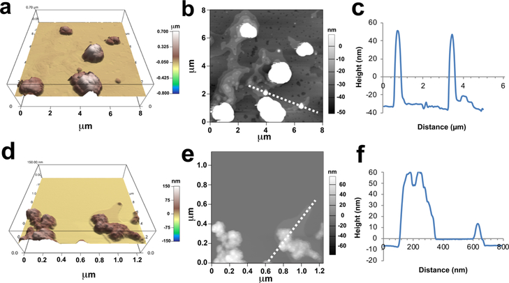 Figure 6.