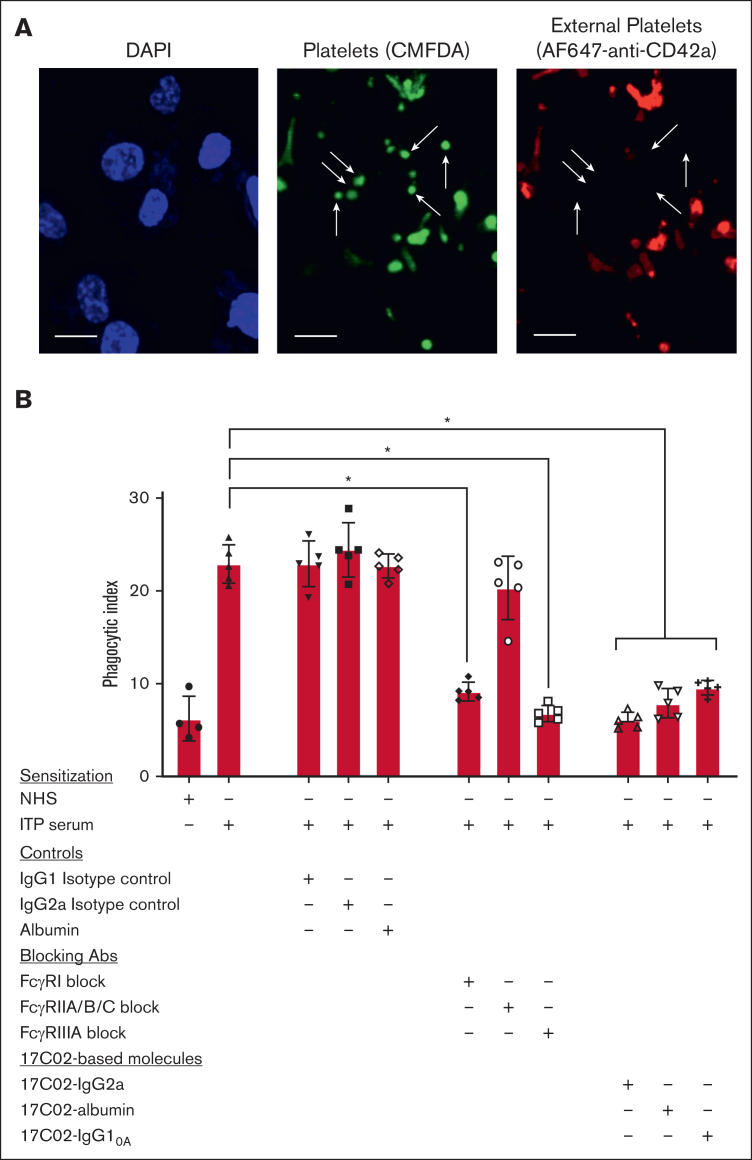 Figure 4.