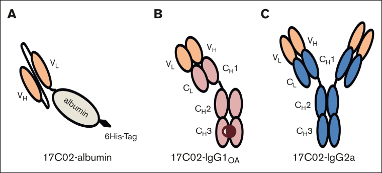 Figure 2.