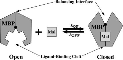 FIG. 10.