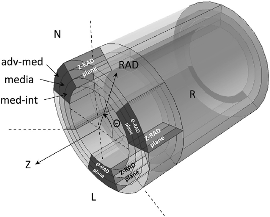 FIGURE 1