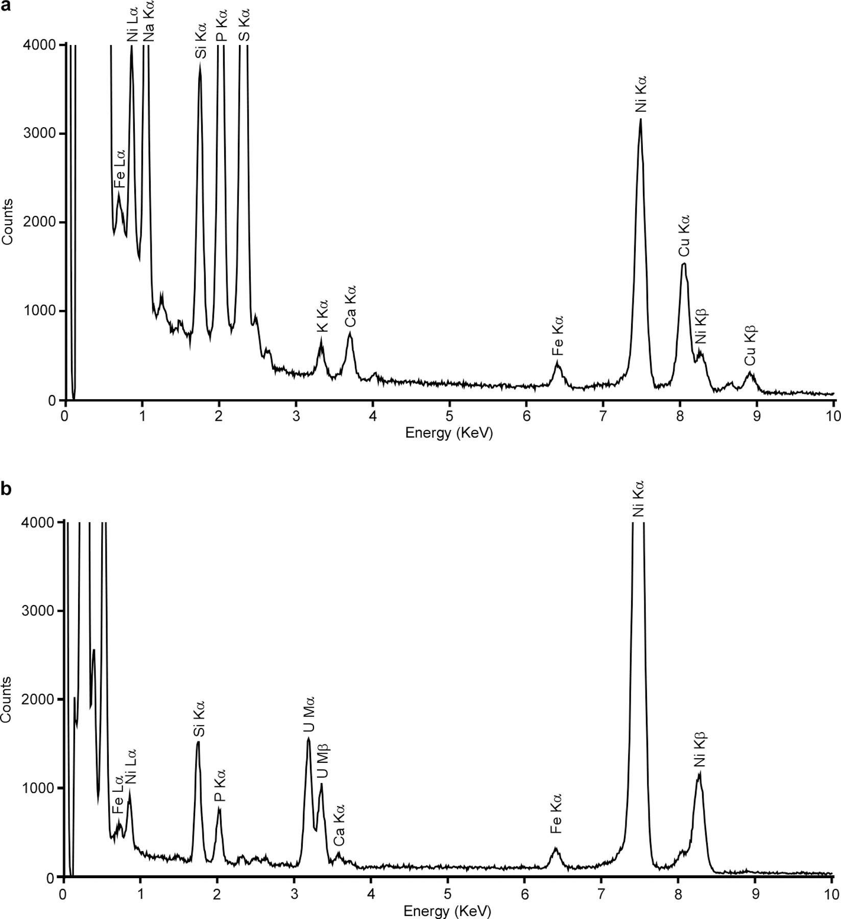 Extended Data Fig. 3 |