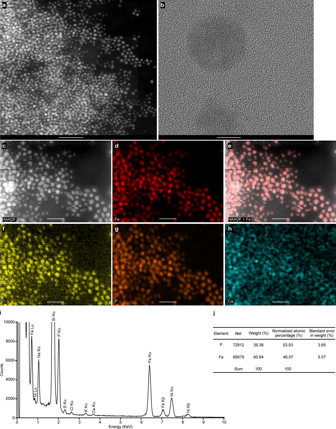 Extended Data Fig. 5 |