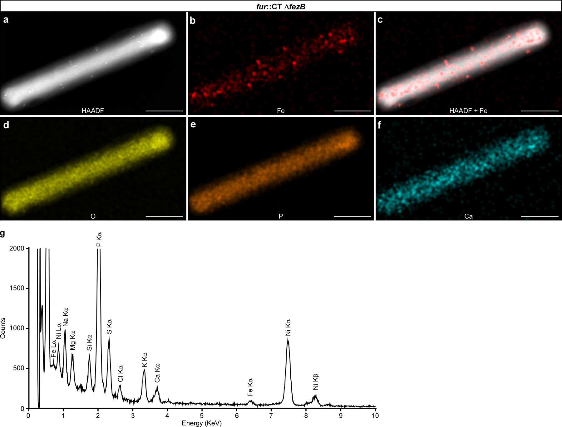 Extended Data Fig. 7 |