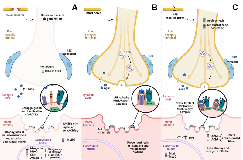 Figure 3. 