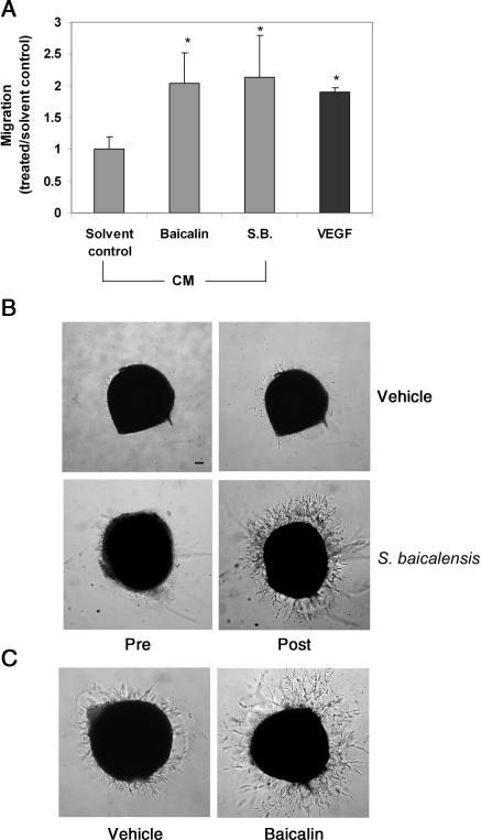 Figure 6