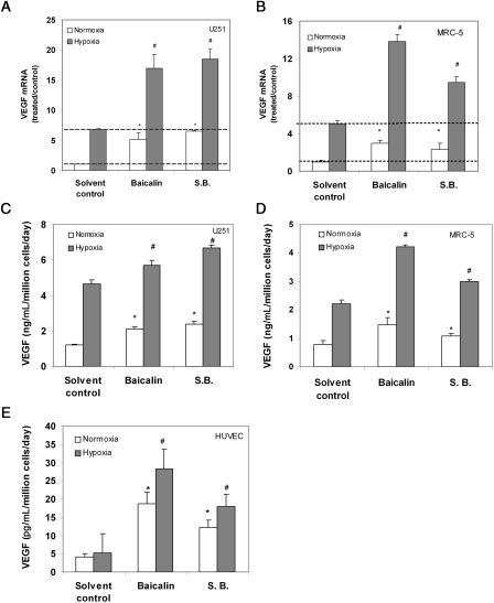 Figure 2