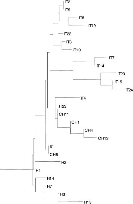 Figure  3