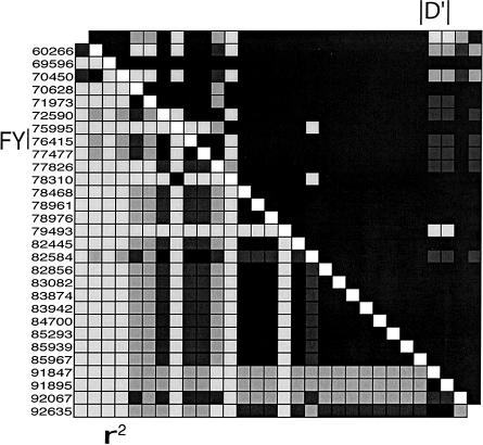 Figure  5