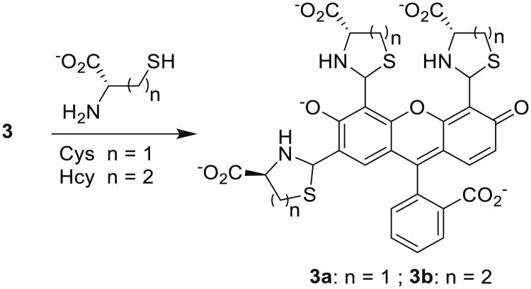 Scheme 3