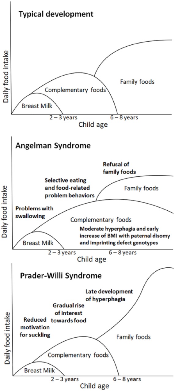 Figure 7.