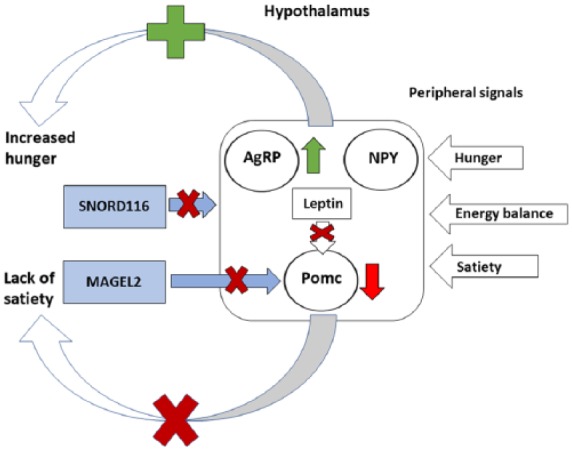 Figure 5.