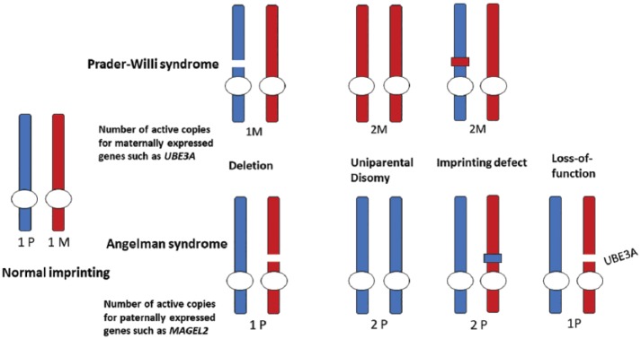 Figure 2.