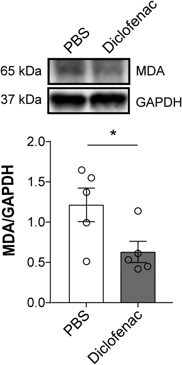 Figure 9.