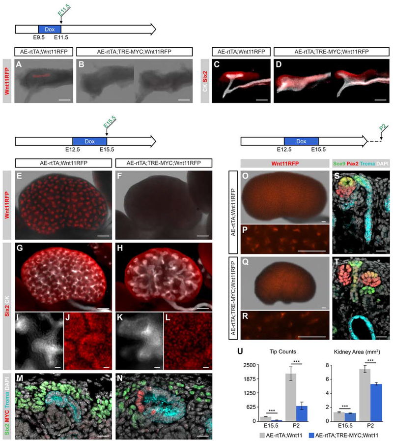 Fig. 7: