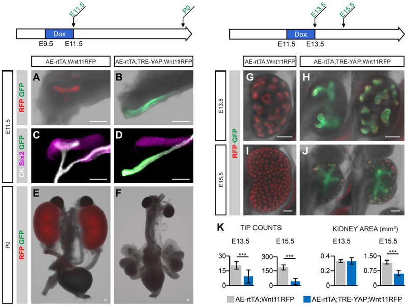 Fig. 8: