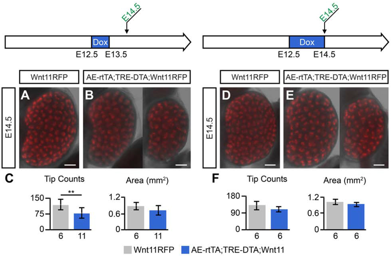 Fig. 6: