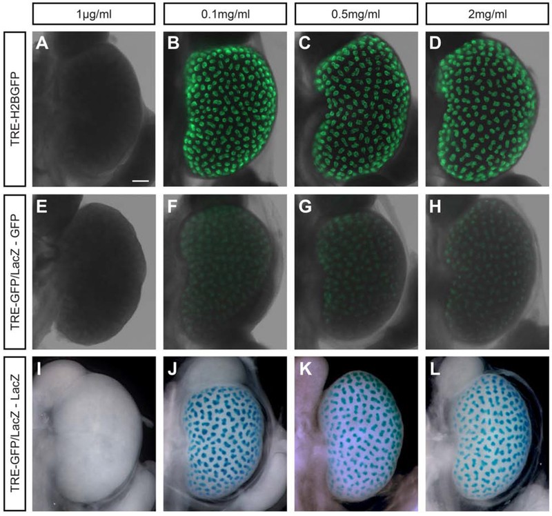 Fig. 2: