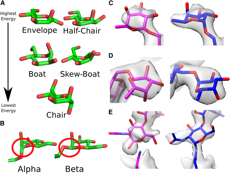 Figure 1