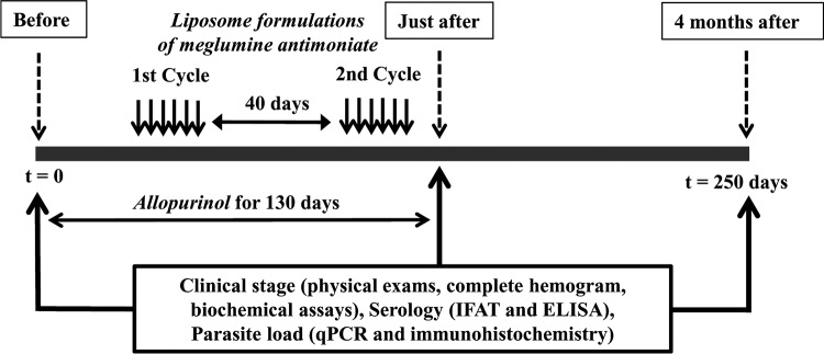 FIG 6