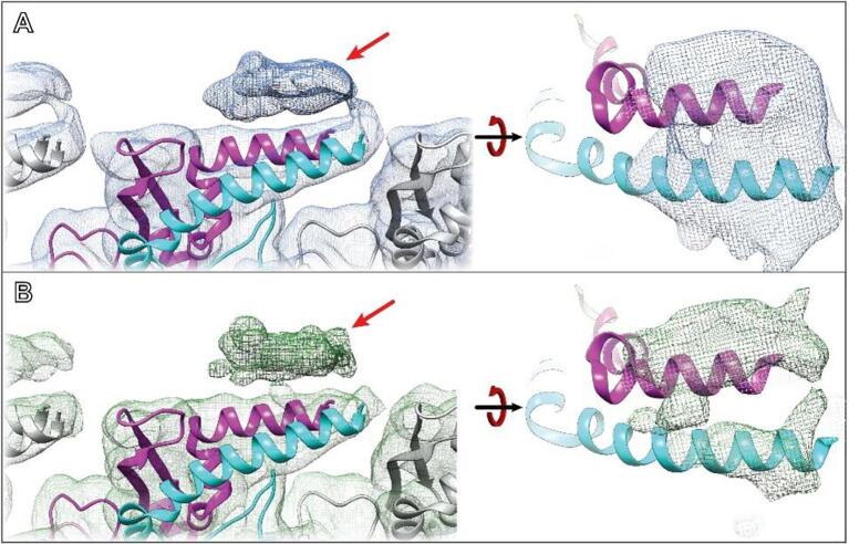Fig. 7