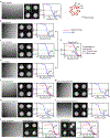 Extended Data Figure 3: