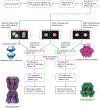 Extended Data Figure 5: