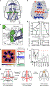 Figure 5: