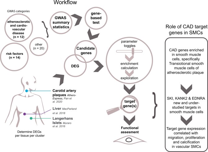 Graphical Abstract