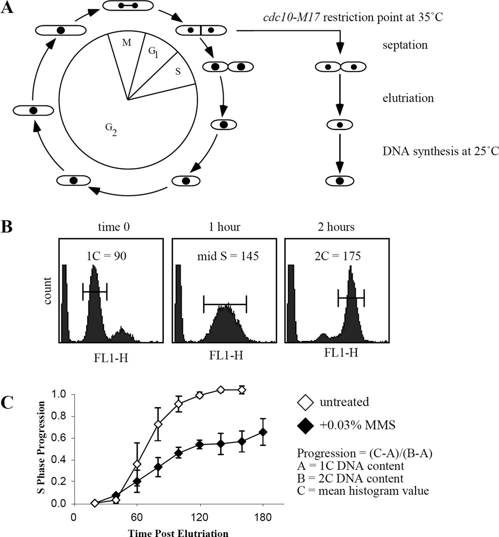 Figure 3.1