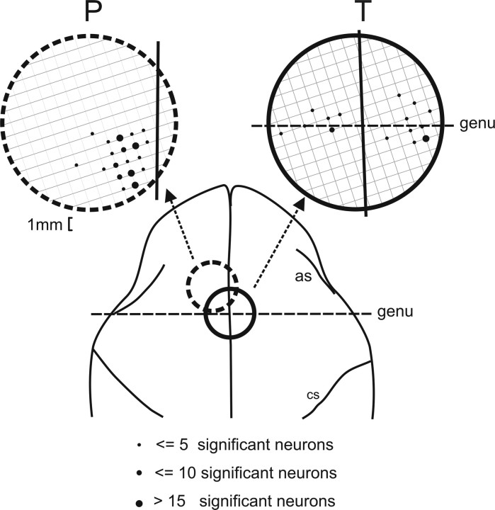 Figure 10.