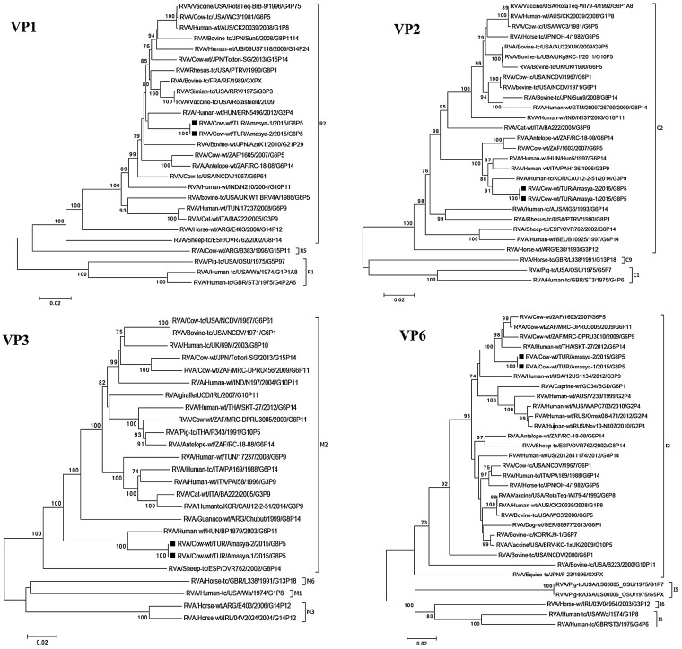 Fig. 2