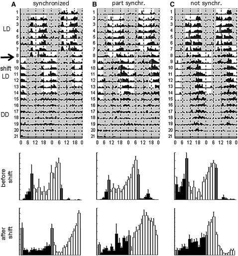 Figure 3.—