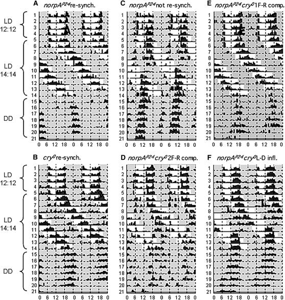 Figure 4.—