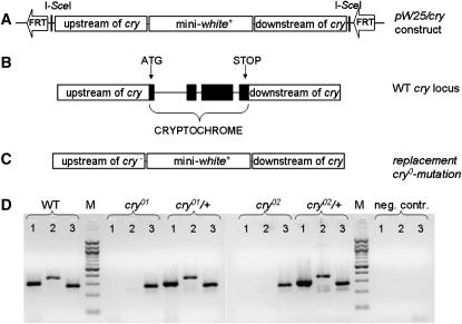 Figure 1.—