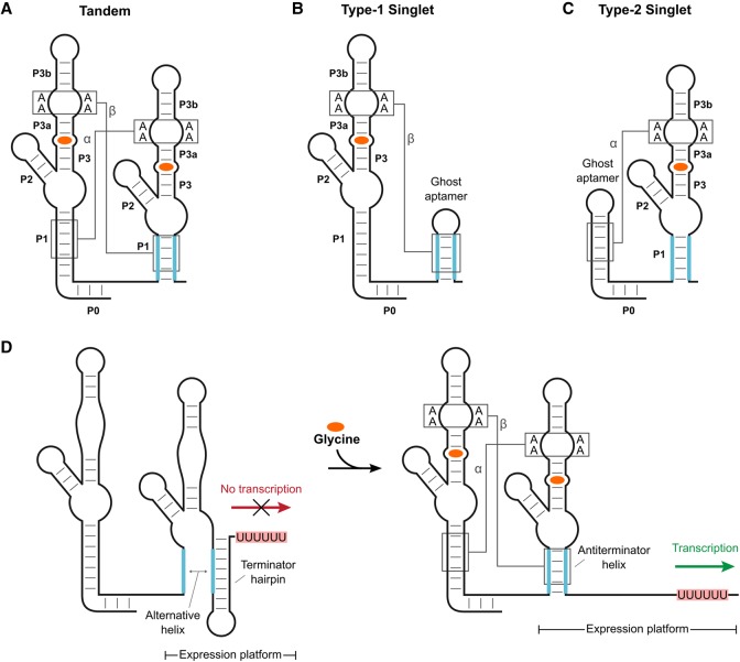 FIGURE 1.