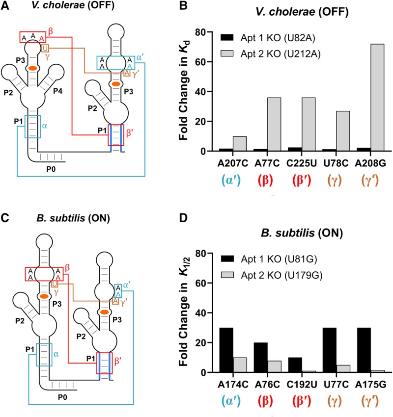 FIGURE 6.