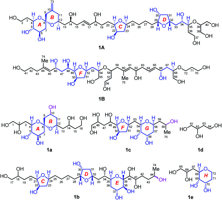 Fig. 2