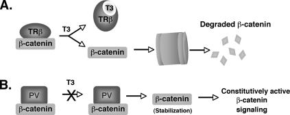 FIG. 9.