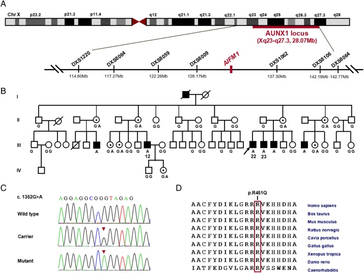 Figure 1