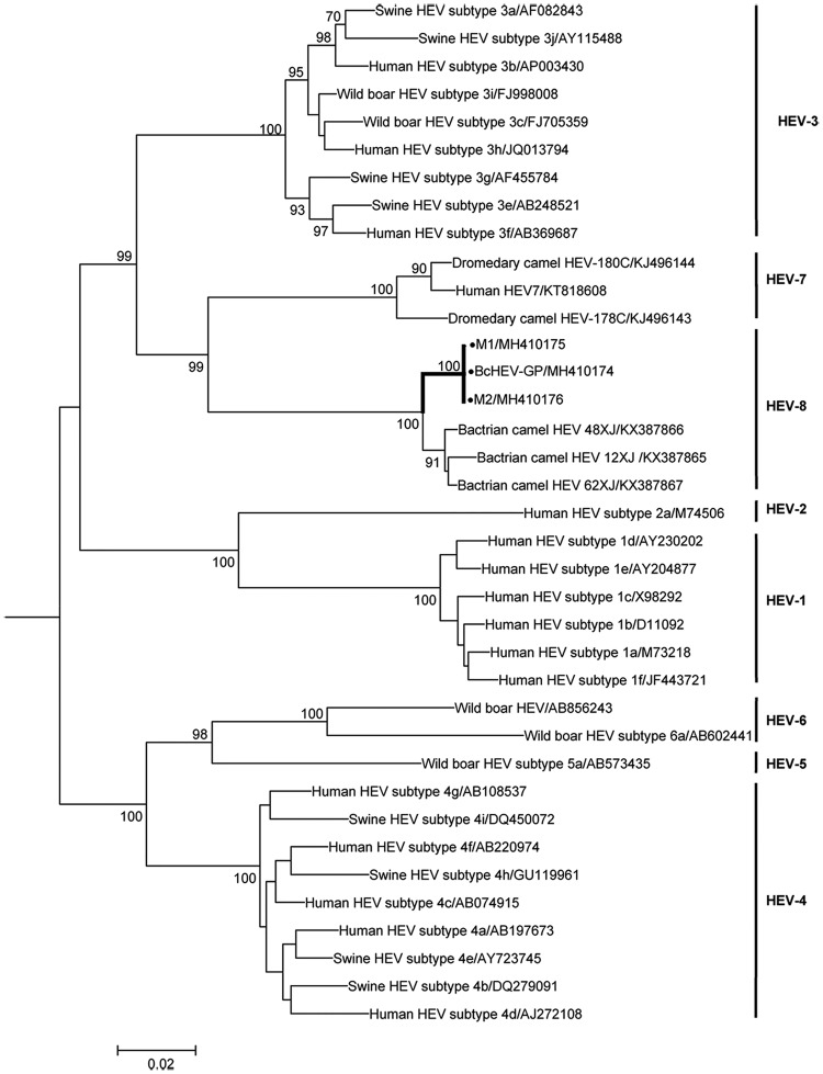 FIG 3