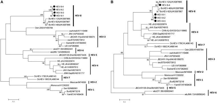 FIG 2