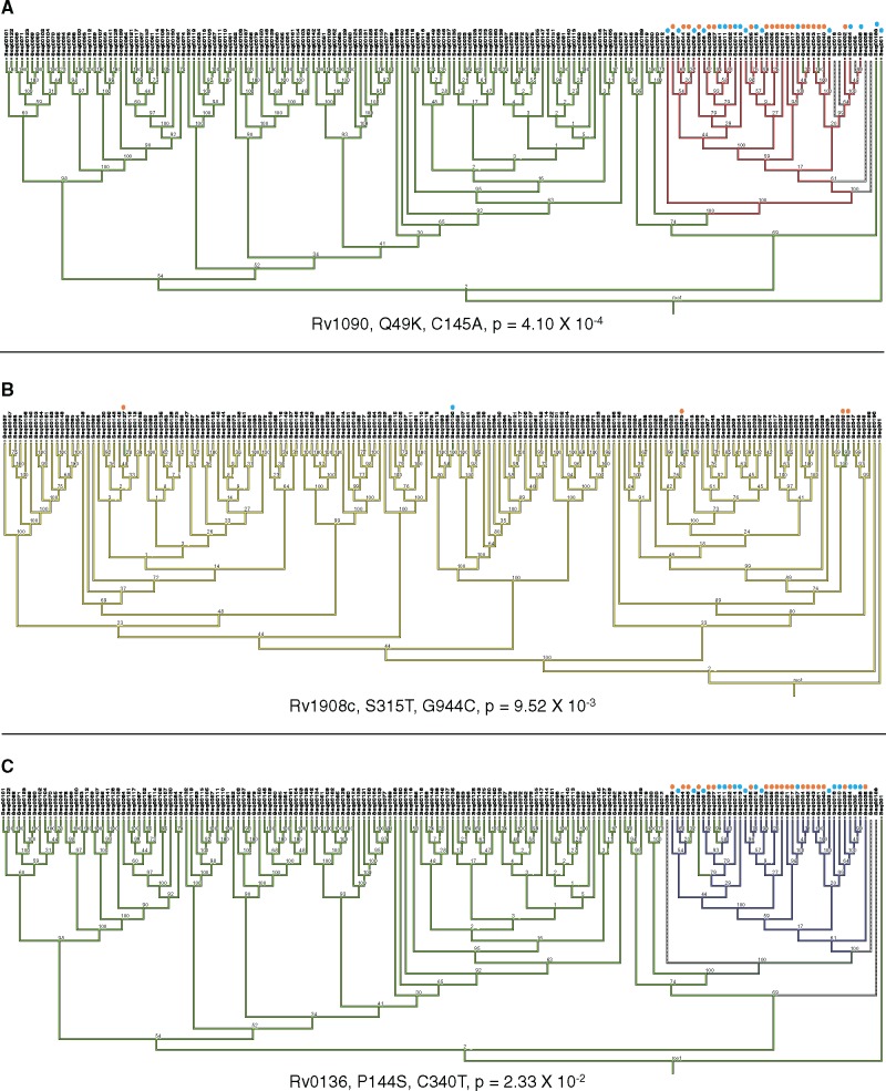 Fig. 3