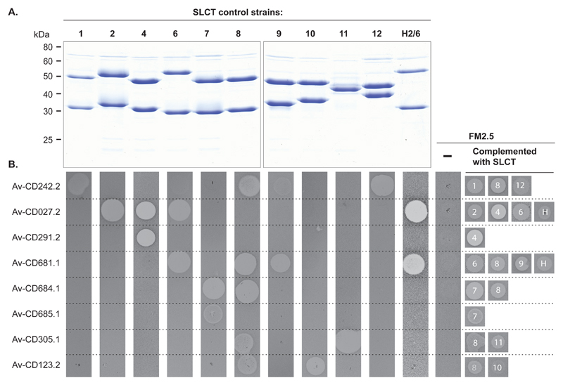 Fig. 2